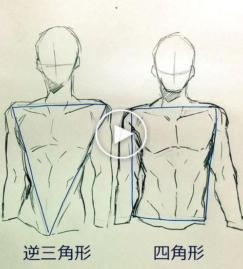 30 How To Draw Body Shapes Step By Step In 2020 Drawing Body