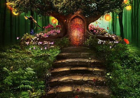 Magic Trees Faeries Forest Illustration Enchanted Forest
