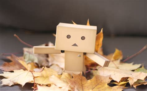 Danbo Wallpaper And Background Image 1680x1050 Id52272