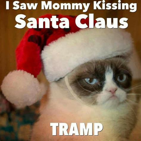 70 Best Grumpy Cat At Christmas Images On Pinterest Grumpy Cat