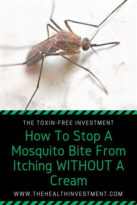 How To Stop A Mosquito Bite From Itching Without A Toxic Cream