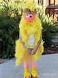 No Sew Duck Costume Tutorial - Jonesing2Create