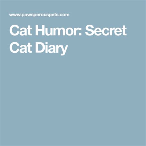 Cat Humor Secret Cat Diary Cat Diary Humor Funny Cats