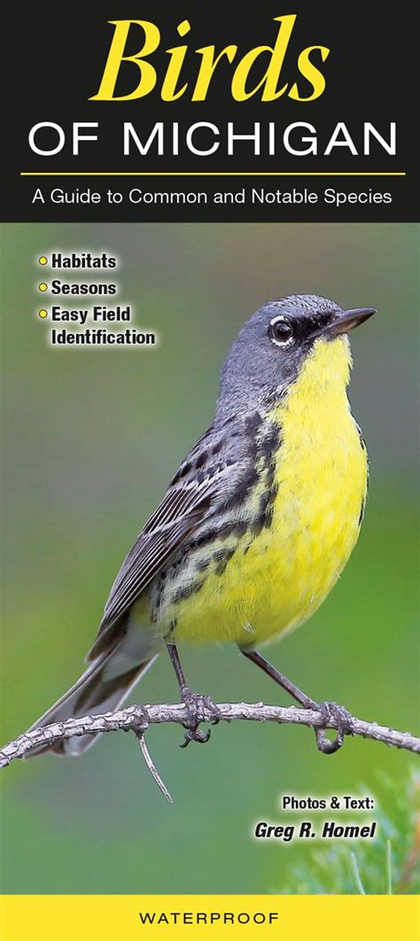 Birds Of Michigan A Guide To Common And Notable Species Greg R Homel