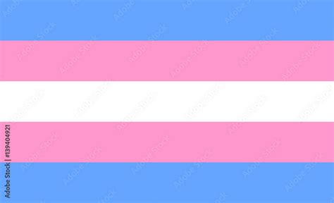 Transgender Flag Or Trans Banner With Blue And Pink Strips Vector Stock