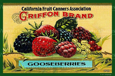 California Gooseberries 1915 020 Vegetable Crate Labels Vintage