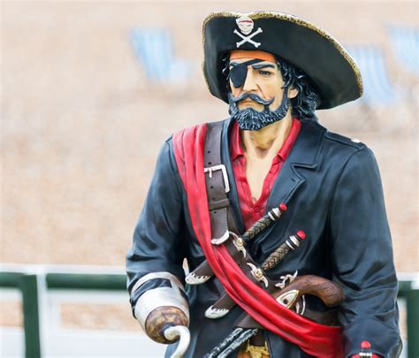 Pirate Statue Free Stock Photo Public Domain Pictures