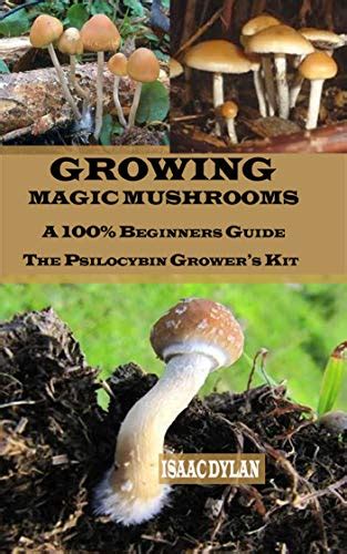 Growing Magic Mushrooms A 100 Beginners Guidethe Psilocybin Growers