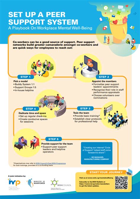 Set Up A Peer Support System Infographic Poster