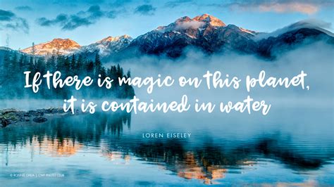Eight Quotes That Illustrate Why Water Is Life Your Connection To