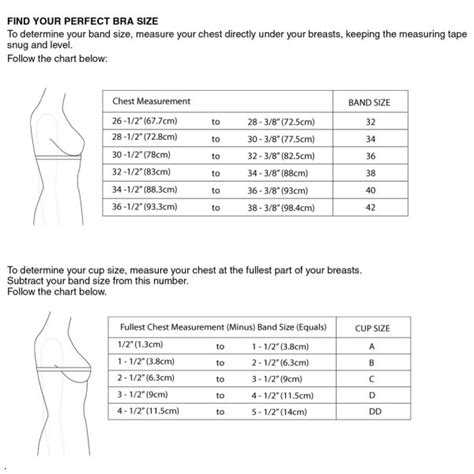 visual bra size age chart