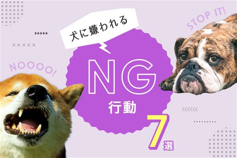 【犬に嫌われるng行動7選】愛犬に嫌がられているかも？実は犬に嫌われる行動とは？