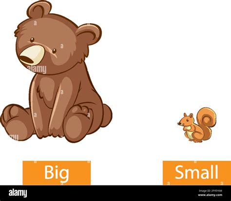 Opposite Adjectives Words With Big And Small Illustration Stock Vector