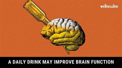 Moderate Drinking May Improve Brain Function For Older Adults Study