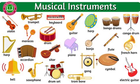 20 Musical Instruments Names With Pictures