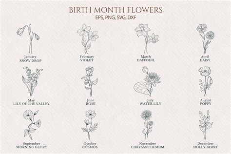 Birth Month Flowers Svg Bundle Botanical Line Art Svg Png Vlrengbr