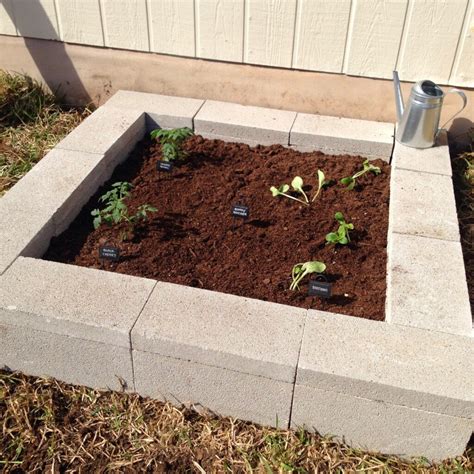 How To Build A Concrete Block Raised Bed Garden Encycloall