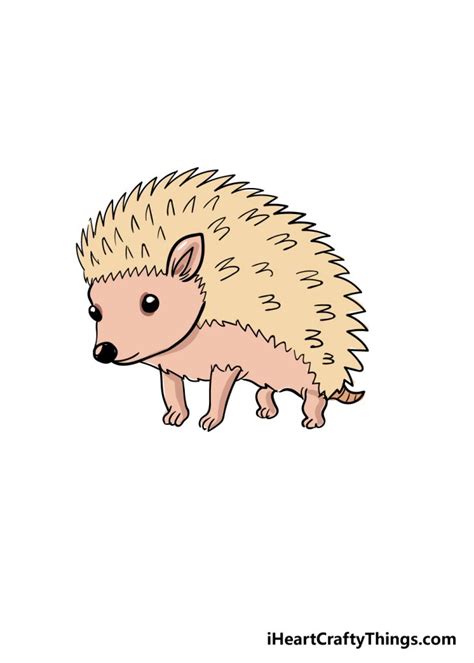 Hedgehog Drawing How To Draw A Hedgehog Step By Step