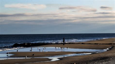 A Winter Beach Along The Jersey Shore — Save Coastal Wildlife