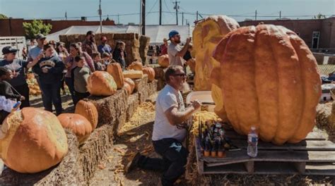 Ennis Pumpkin Patch To Feature 16000 Pumpkins With Five World Renowned