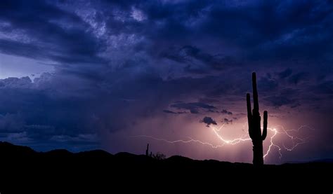 Saguaro Lightning Photograph By Saija Lehtonen Fine Art America