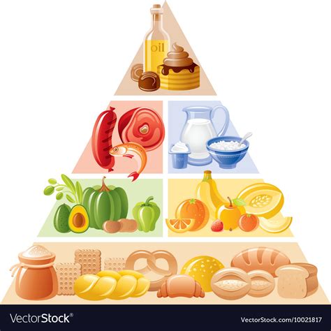Food Guide Pyramid Royalty Free Vector Image VectorStock