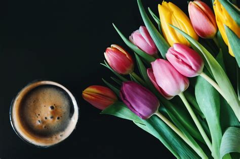 Download Coffee And Tulips Flowers Royalty Free Stock Photo And Image