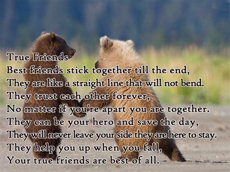 Quotes About Togetherness Of Friends