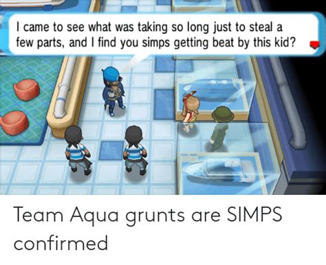 Team Aqua Grunts Are Simps Confirmed Aqua Meme On Meme