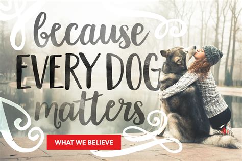 Three Simple Words Every Dog Matters Simple Words Dogs Words