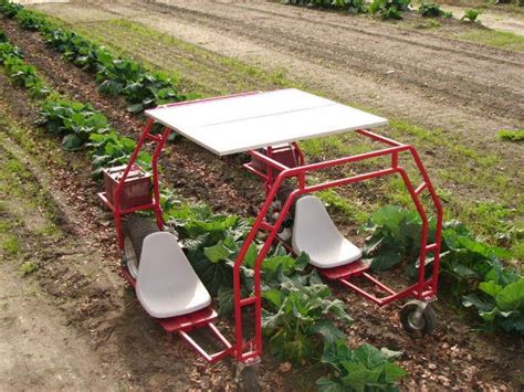 Youryardcart reviews the best home products for your yard. This blog for you: Diy garden cart plans