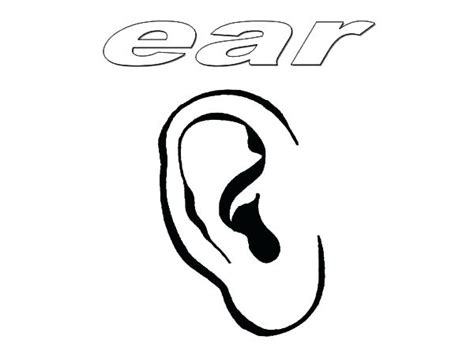 Ear Coloring Page At Free Printable Colorings Pages