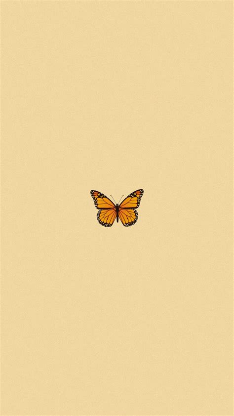 Wallpaper Butterfly Aesthetic Tumblr Download Free Mock Up
