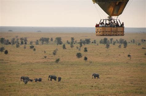 Private Tanzania Safari Custom Travel Safari Adventures Worldwide