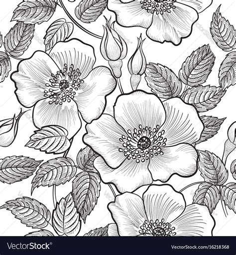Floral Seamless Pattern Flower Background Vector Image