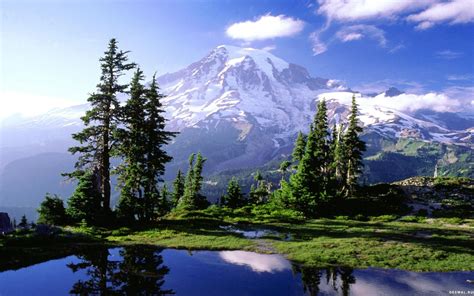 Mount Rainier Washington State Национальные парки Пейзажи Путешествия