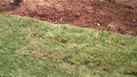 Turf Installation By Chris Orser Landscaping Inc YouTube