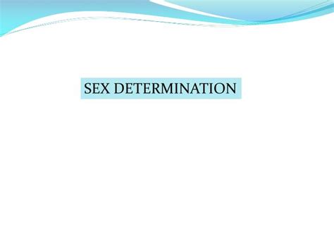 Ppt Section Sexual Determination Powerpoint Presentation Free My Xxx