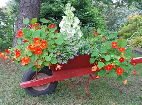 18 Stunning Container Gardening Ideas For Small Spaces Hort Zone