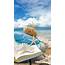 Summer Beach Wallpaper For Desktop 55  Images
