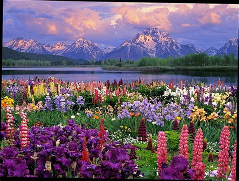 Spring Mountains Lake Flowers Mountains Sky Clouds Hd Wallpaper