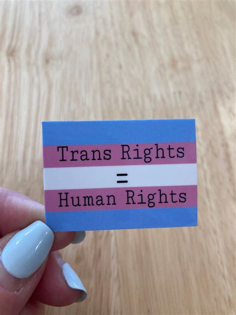 trans pride sticker pack lgbtq stickers pride stickers etsy
