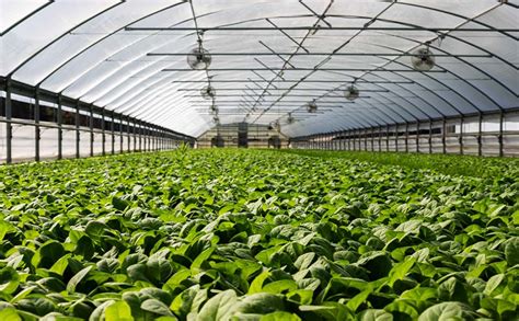 Rethinking Greenhouses For Agricultural Research Minearc Systems