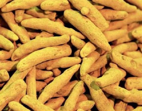 Yellow Natural Chemical Free Indian Origin Raw Dried Turmeric Fingers