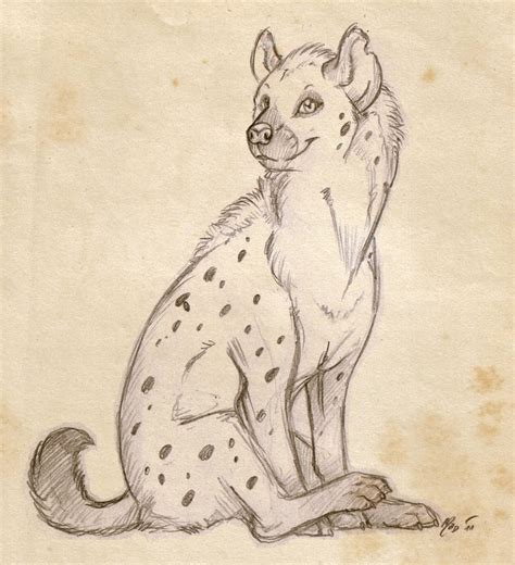 Happy Hyena By Cayleth Animal Drawings Furry Art Animal Sketches