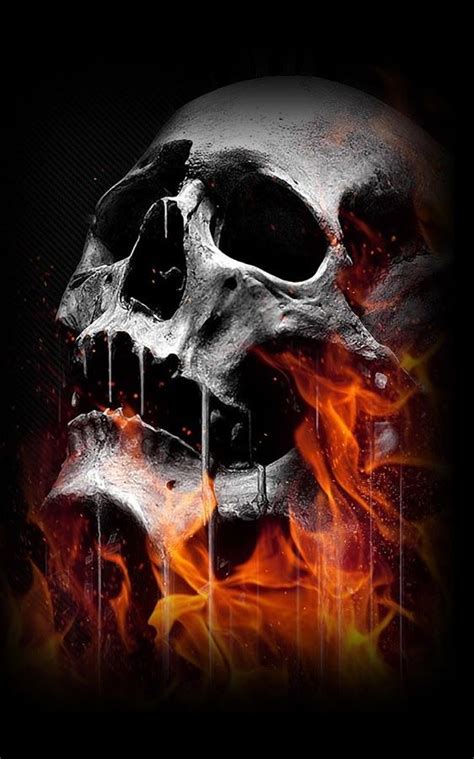 17 Best Images About Skulls On Pinterest Behance Illusions And Skull
