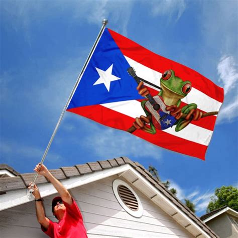 Puerto Rico Frog Flag Banner