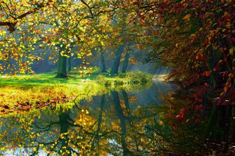 Autumn Lake Water Nature Trees Fall Woods Forest Autumn