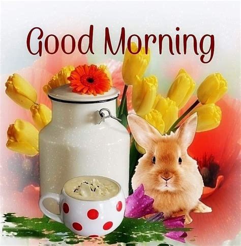 Good Morning Greeting With Tulips And Bunny Pictures Photos And Images