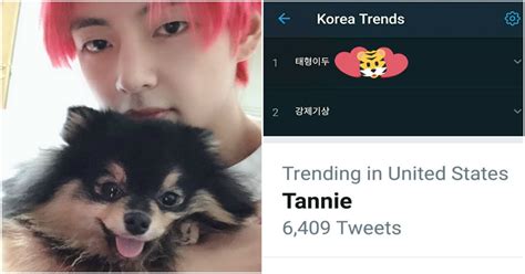 Btss Vs Dog Tannie Is More Popular Than Most Idols Koreaboo